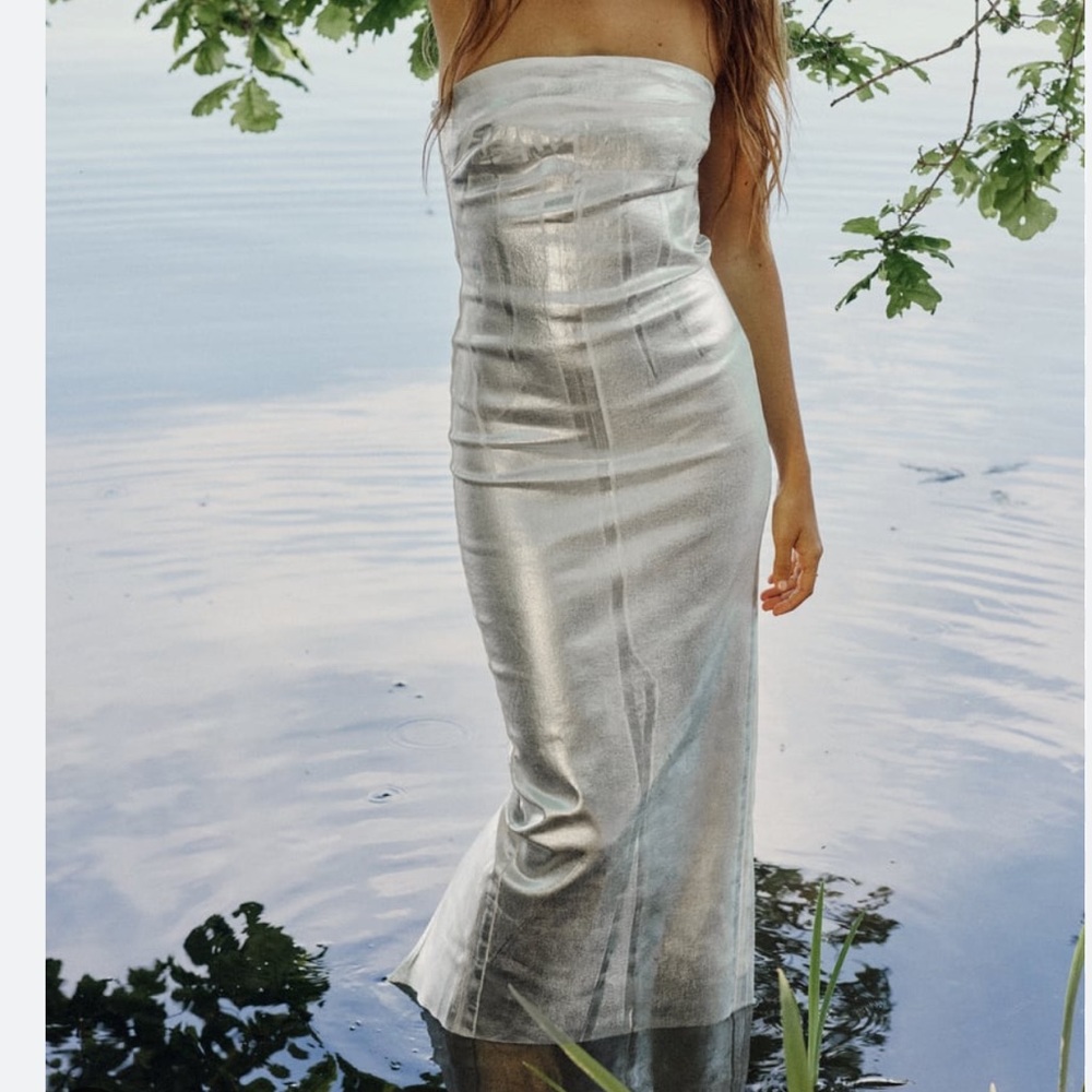 The Fitted Denim Dress in Silver